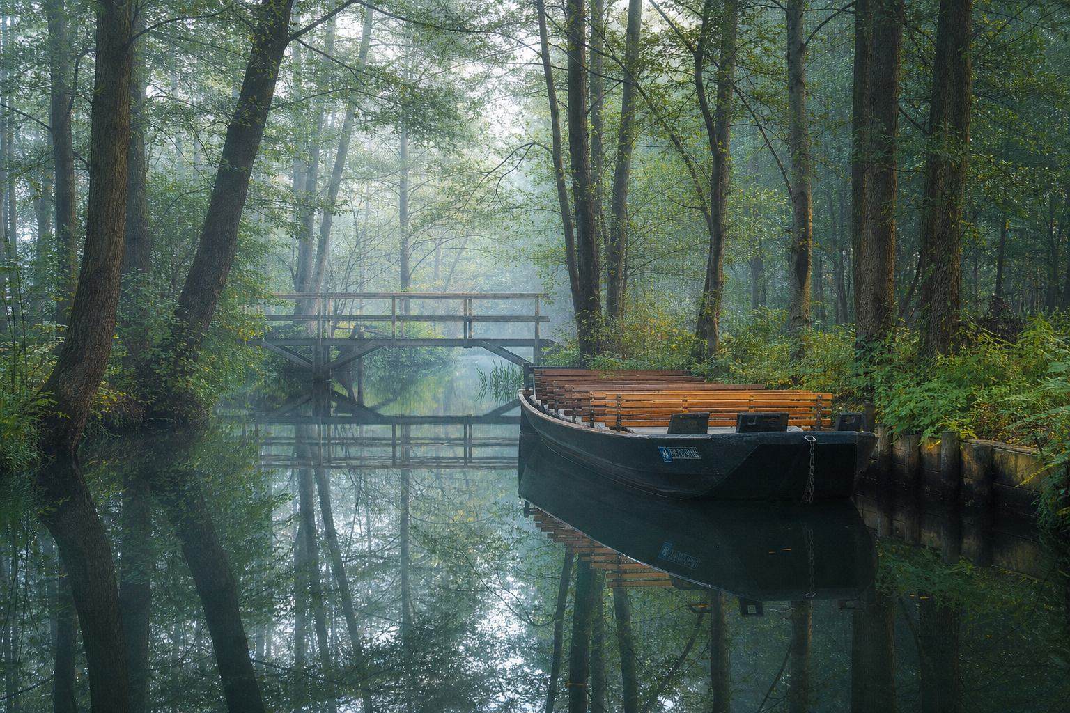 Schmaler Spreewaldkanal im Erlenwald mit Kahn und Morgennebel